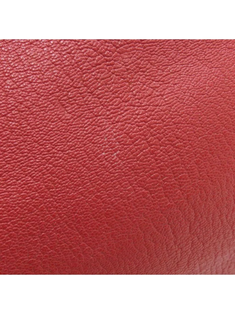 Louis Vuitton Ladiu Tote Bag Suhali